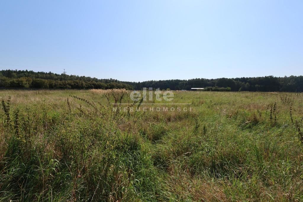 Modrzewie, Zachodniopomorskie