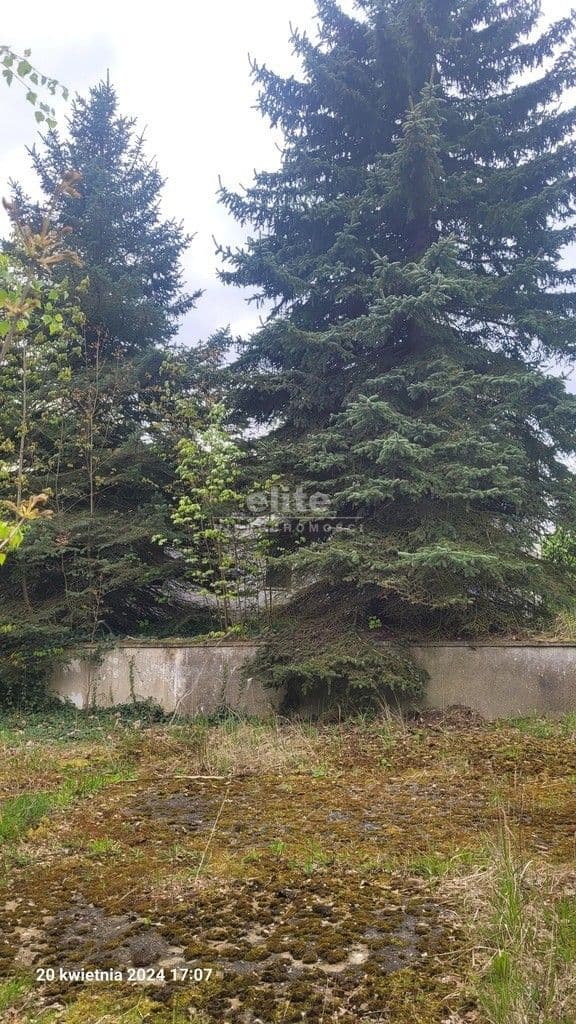 Recz, Zachodniopomorskie