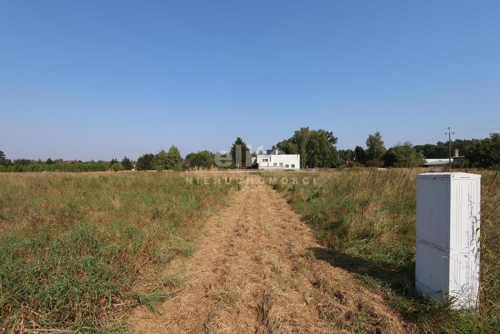 Modrzewie, Zachodniopomorskie