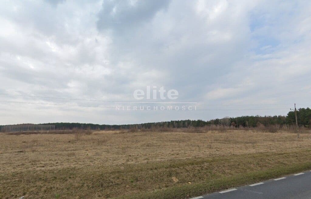 Skórka, Wielkopolskie