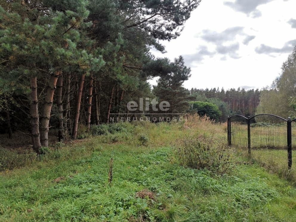 Jezierzyce, Szczecin