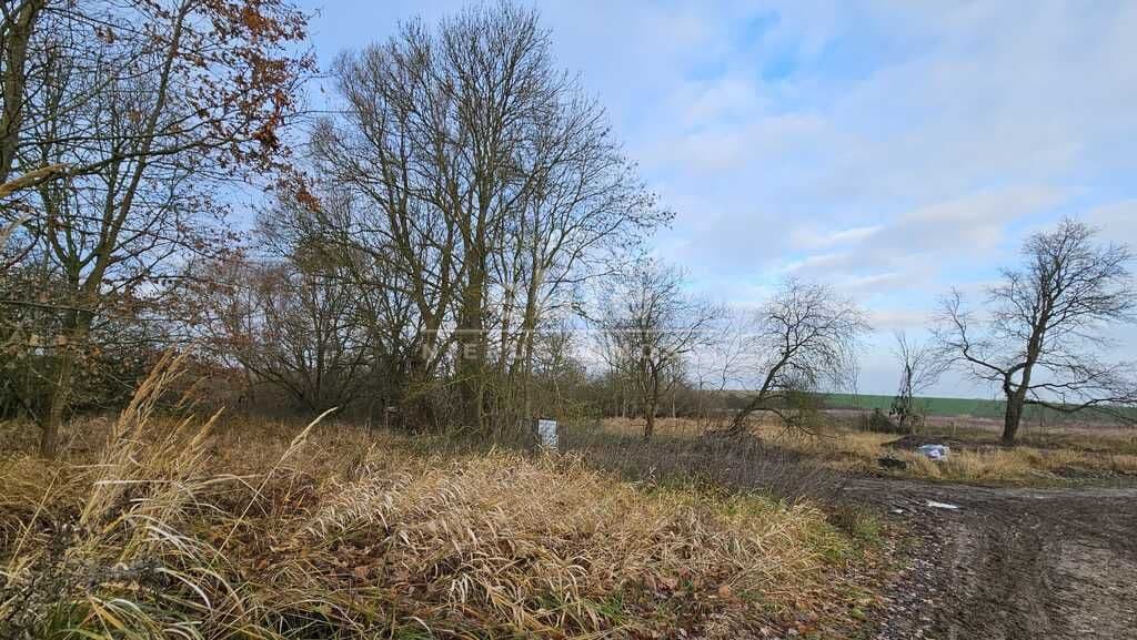 Siadło Dolne, Zachodniopomorskie