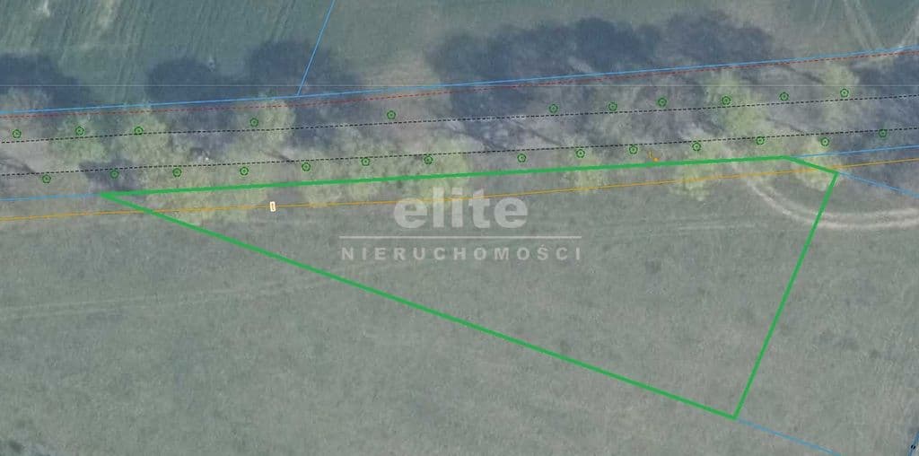 Dusin, Zachodniopomorskie