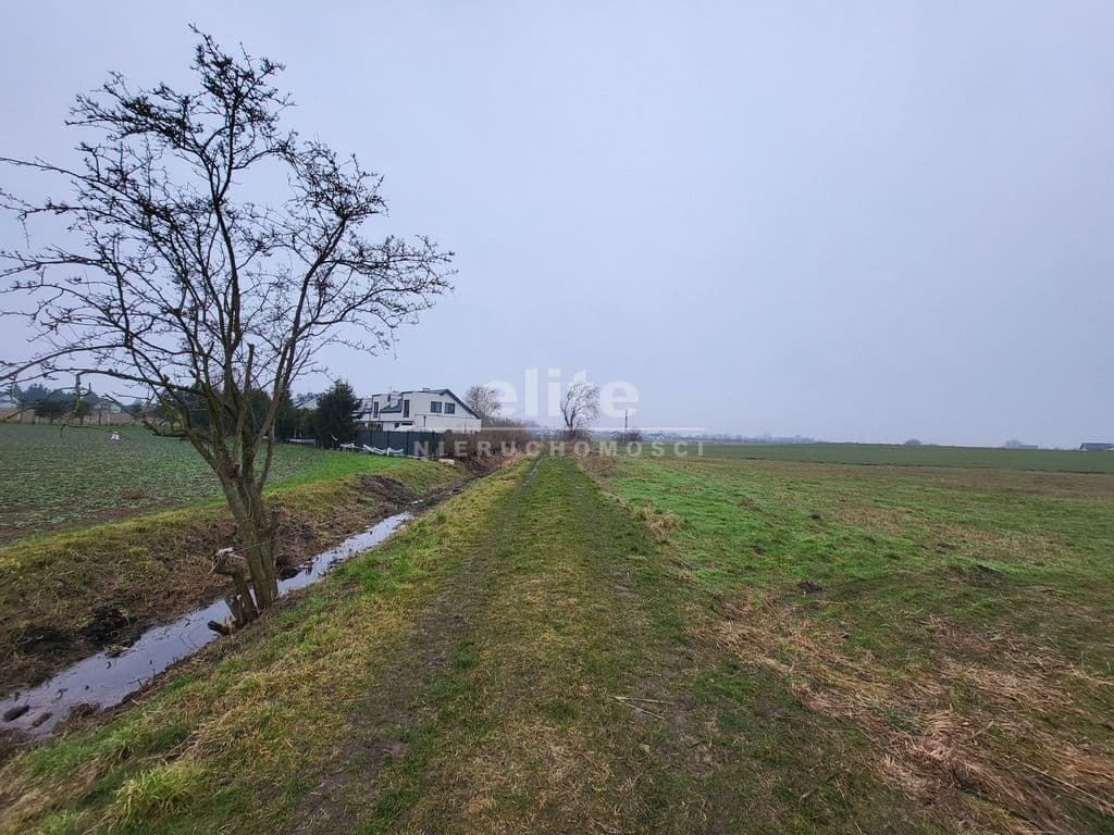 Warzymice, Zachodniopomorskie