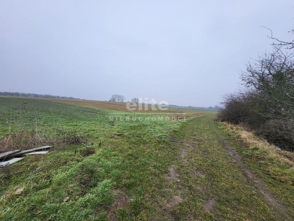 Warzymice, Zachodniopomorskie