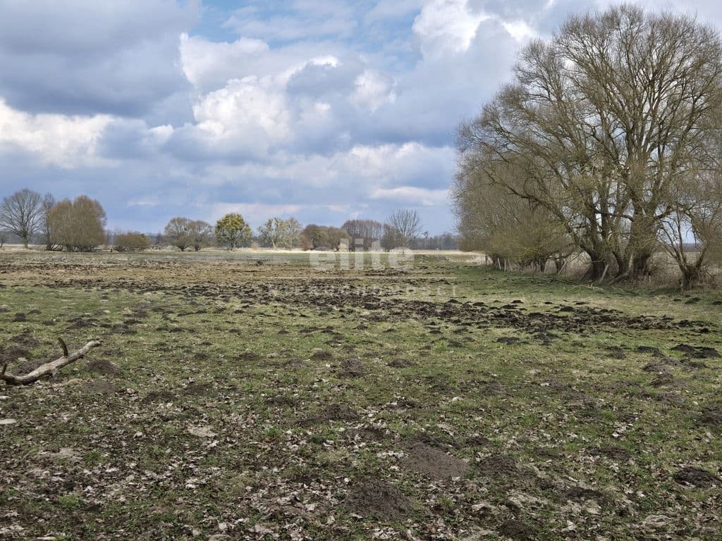 Rzędziny, Zachodniopomorskie