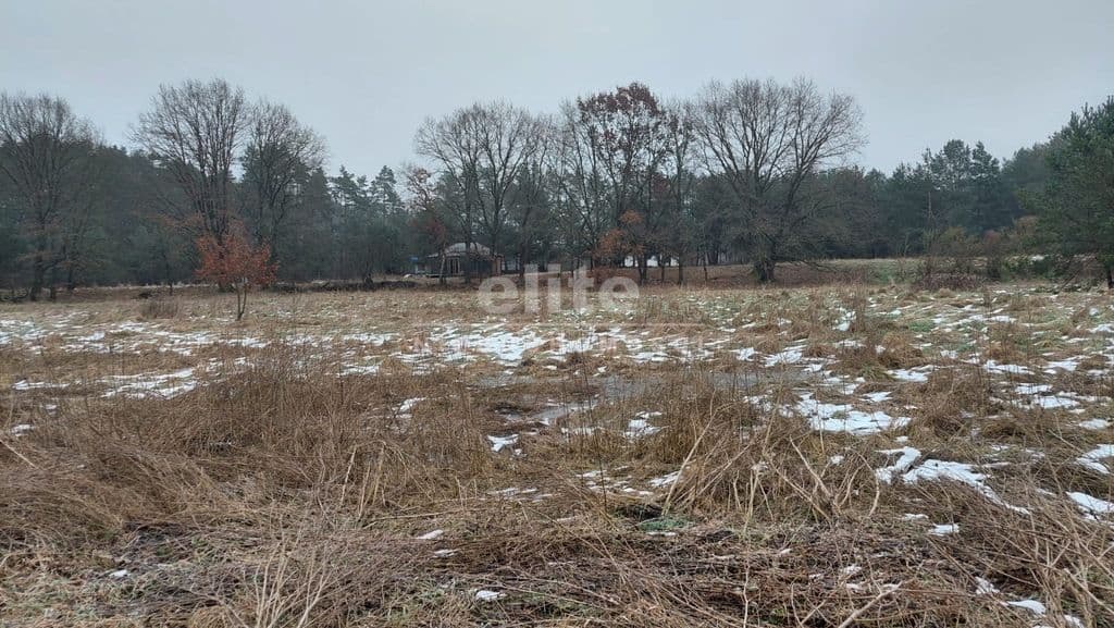 Dzisna, Zachodniopomorskie