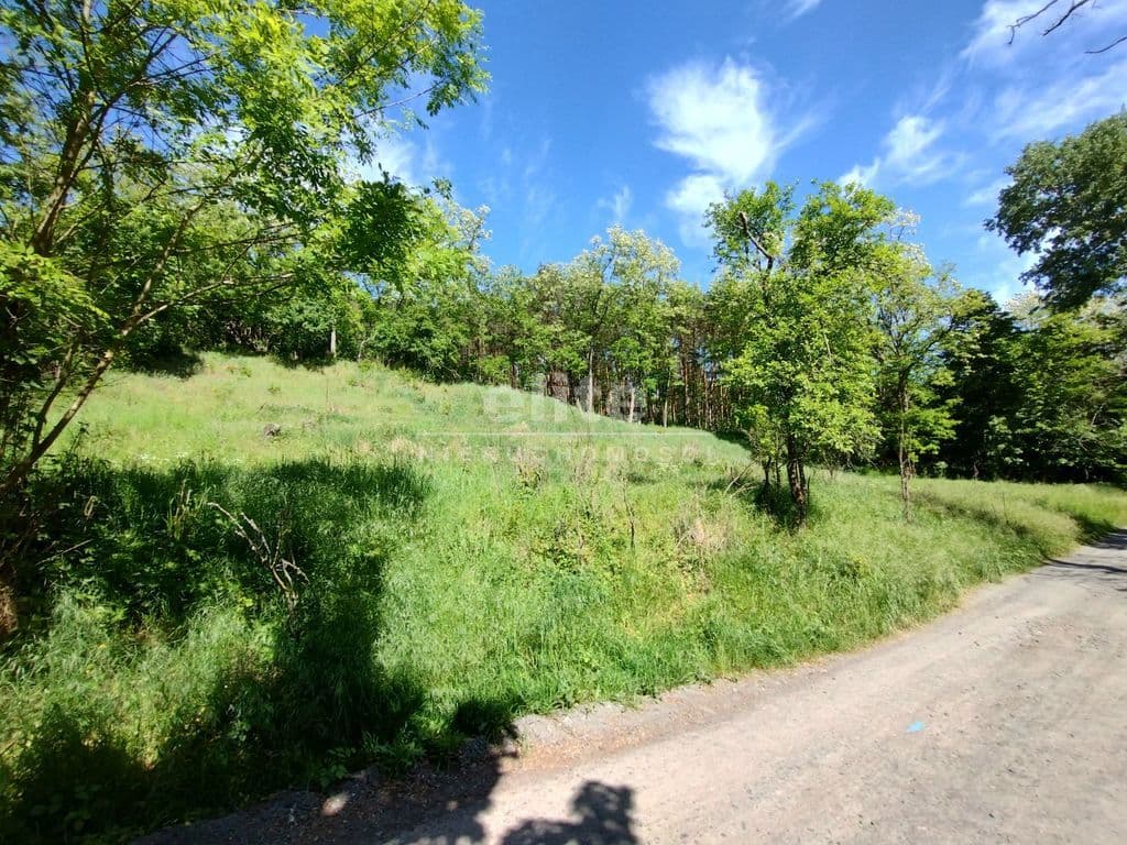 Stary Błeszyn, Zachodniopomorskie