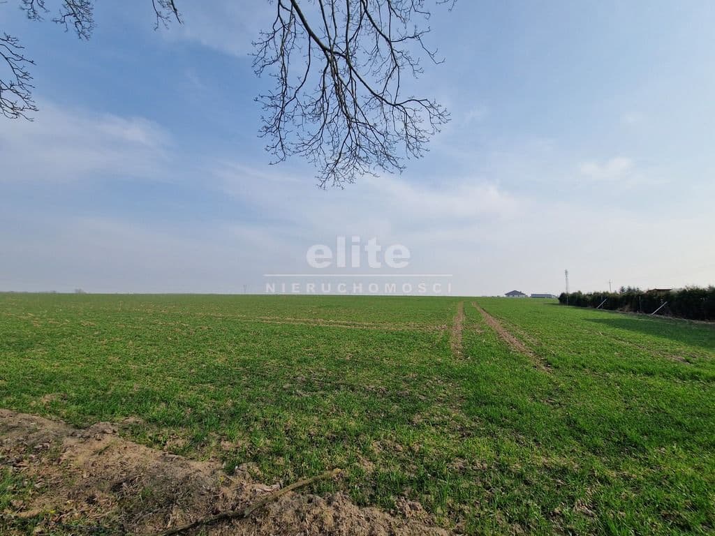 Przemocze, Zachodniopomorskie