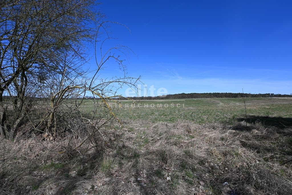 Buk, Zachodniopomorskie