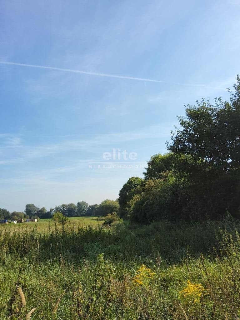 Buk, Zachodniopomorskie