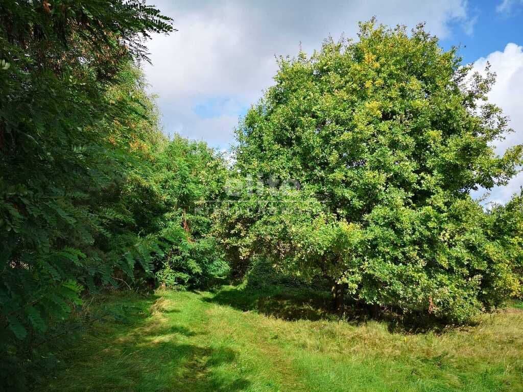 Świeszewo, Zachodniopomorskie