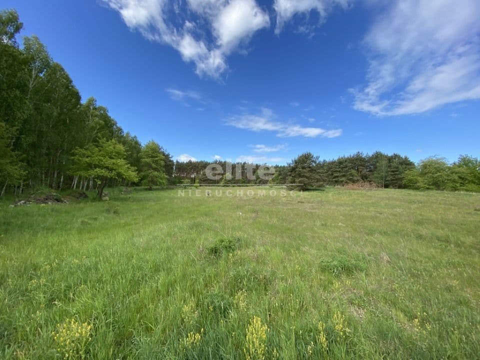 Buk, Zachodniopomorskie