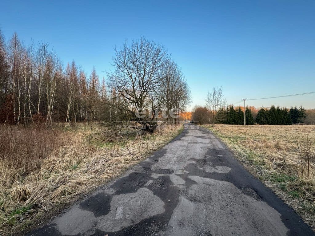 Błotny Młyn, Błotno