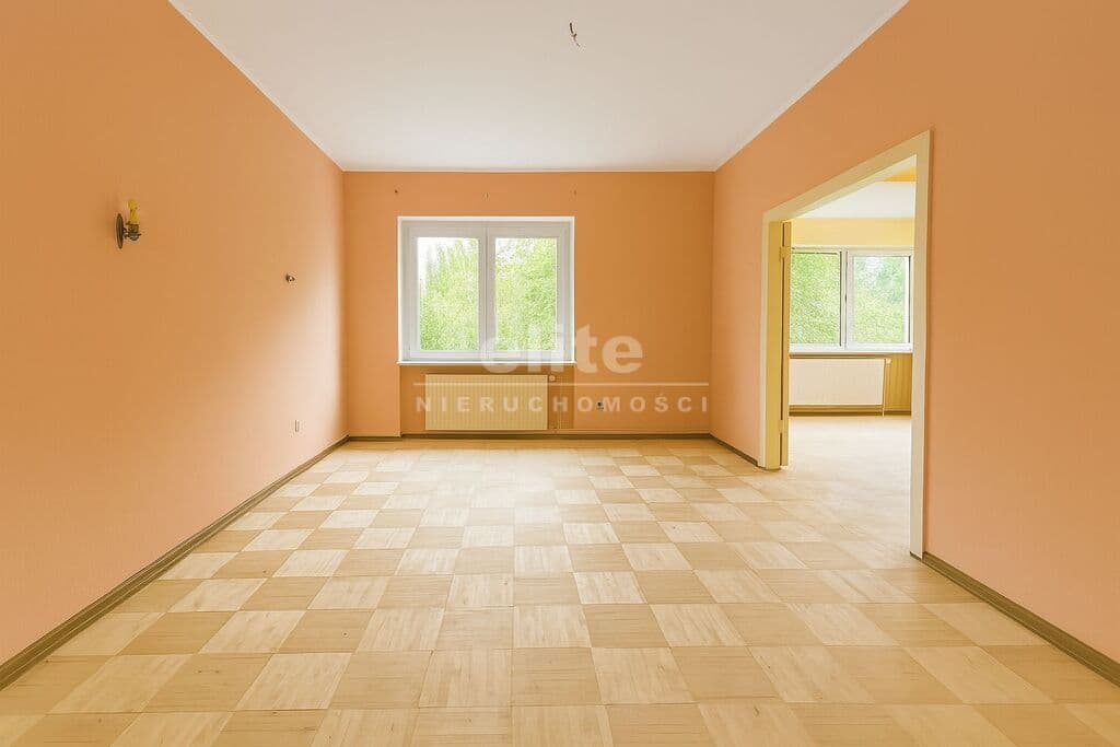 Jasne Błonia, Szczecin