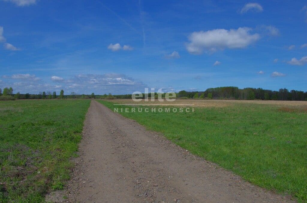 Niedźwiedź, Zachodniopomorskie