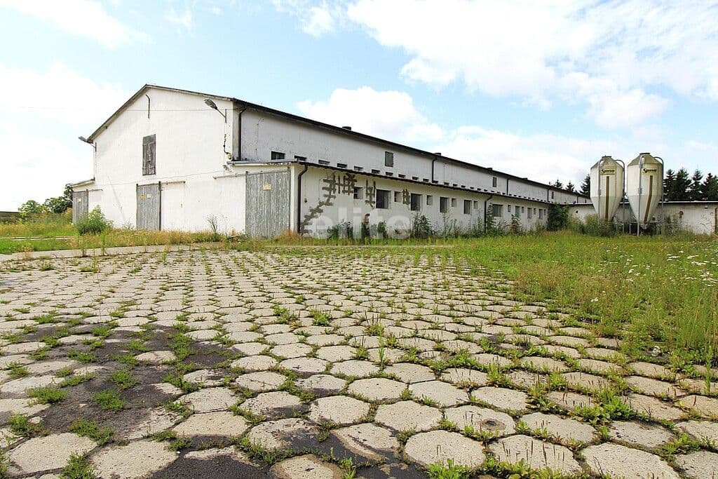 Strzyżno, Zachodniopomorskie