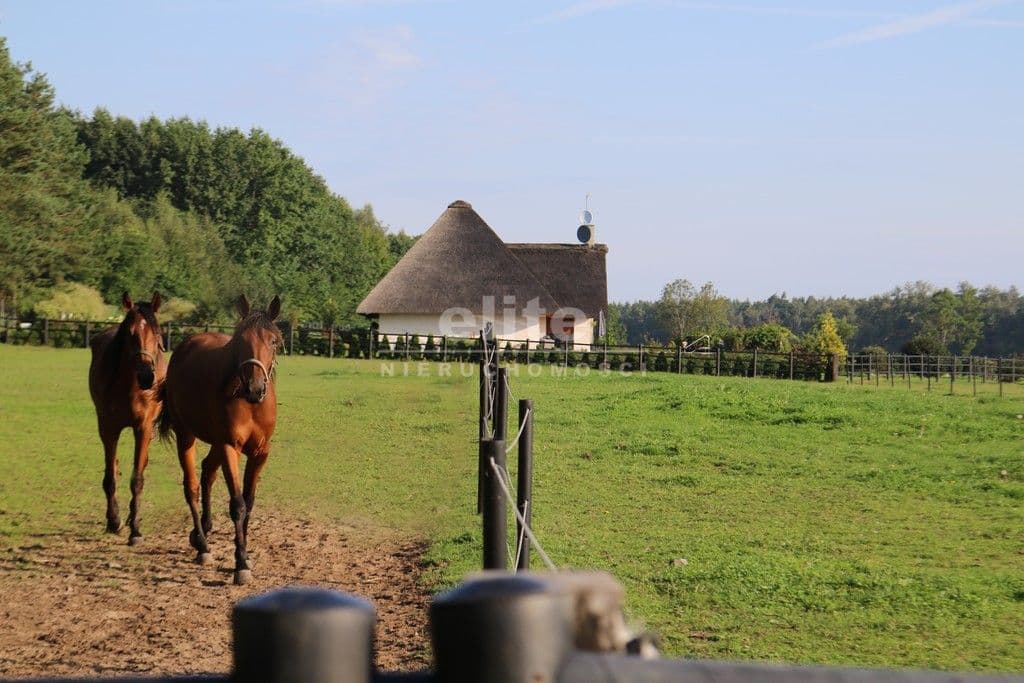 Dobropole, Zachodniopomorskie