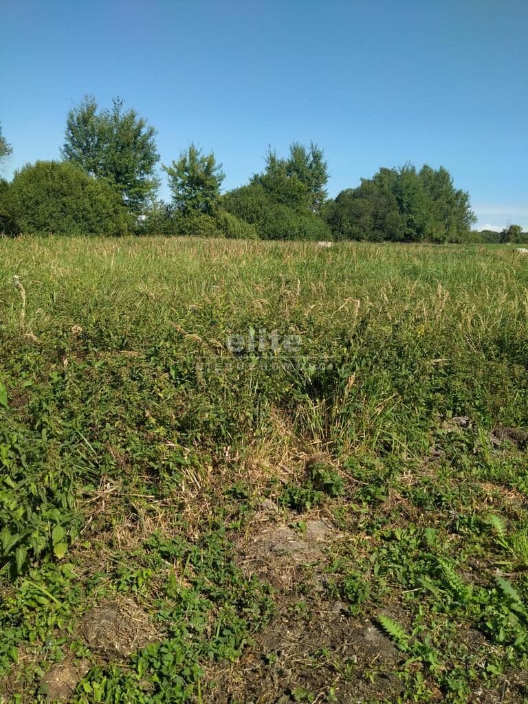 Wołczkowo, Zachodniopomorskie