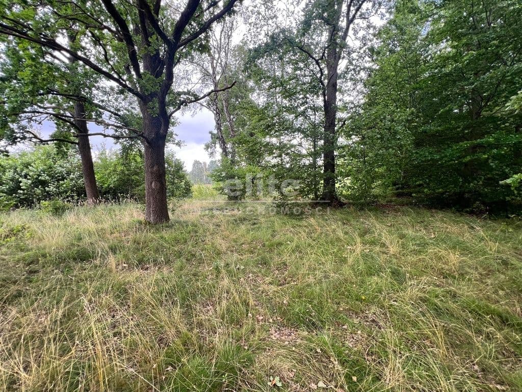 Storkowo, Zachodniopomorskie