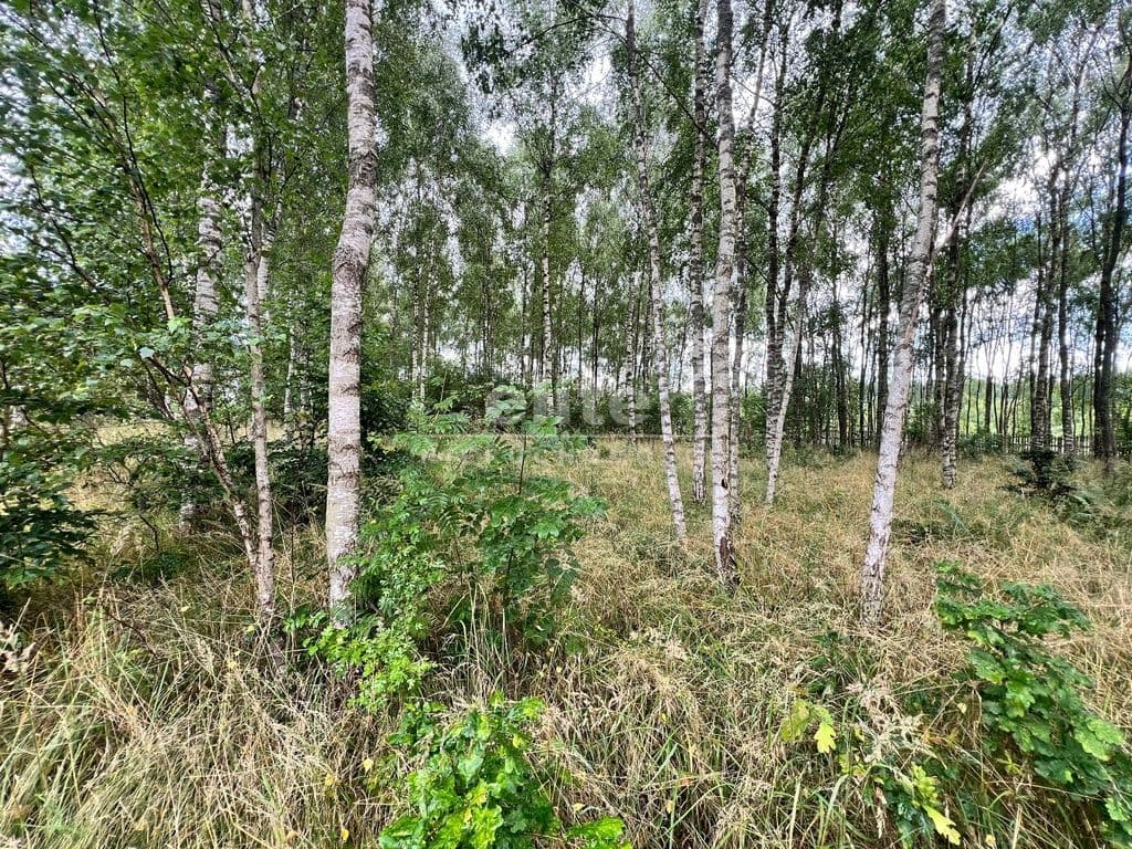 Storkowo, Zachodniopomorskie