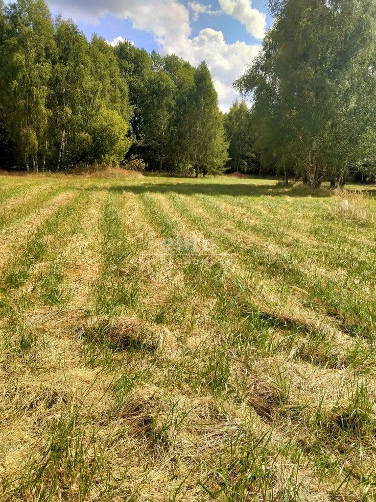 Grzepnica, Zachodniopomorskie