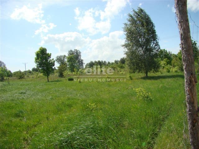 Stargard, Zachodniopomorskie