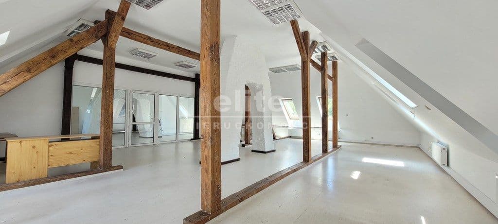 Jasne Błonia, Szczecin