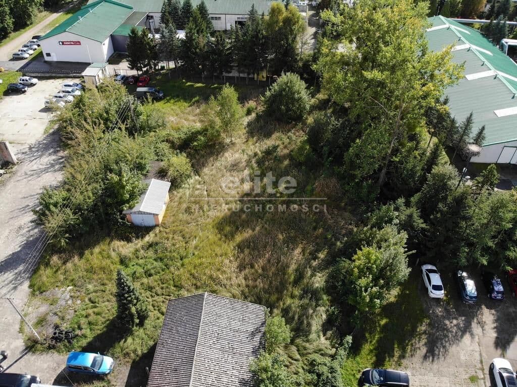 Osina, Zachodniopomorskie