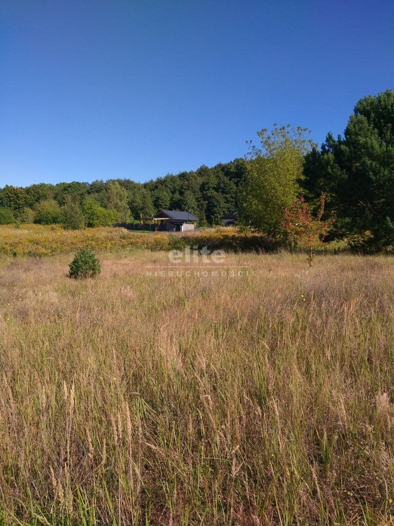 Pilchowo, Zachodniopomorskie