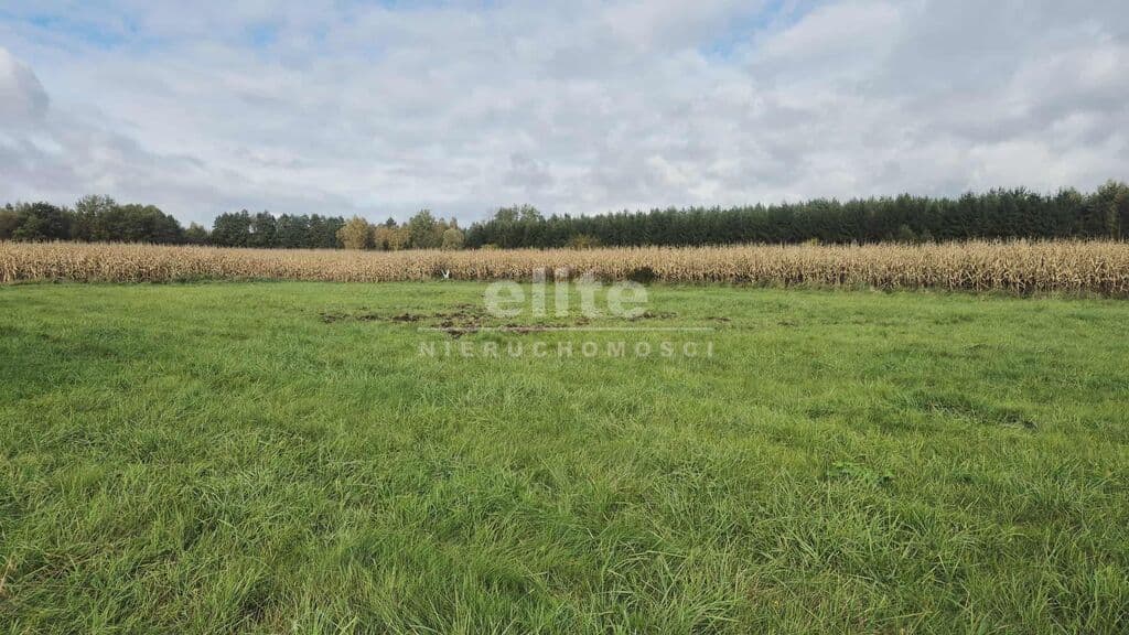 Tatynia, Zachodniopomorskie