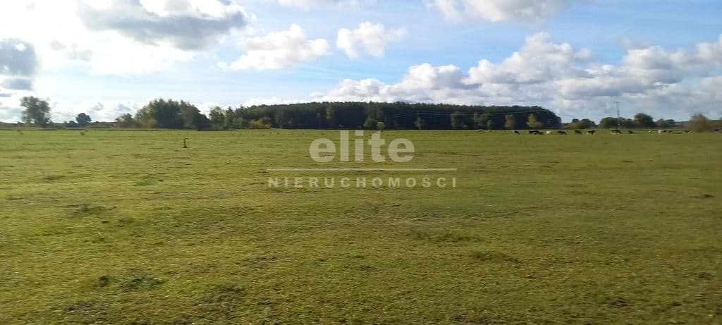 Borzysławiec, Zachodniopomorskie