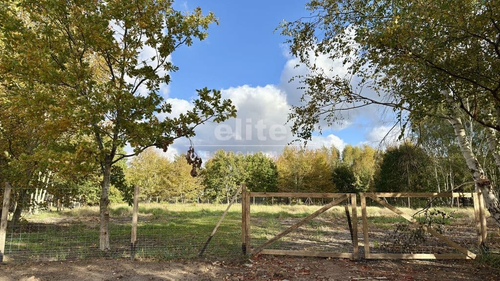 Działka na sprzedaż, Niechorze, Zachodniopomorskie, 607m2, 995 000 zł - zdjęcie 56