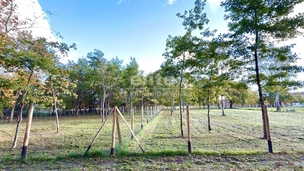 Działka na sprzedaż, Niechorze, Zachodniopomorskie, 607m2, 995 000 zł - zdjęcie 66