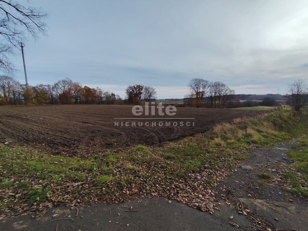 Wojcieszyn, Zachodniopomorskie