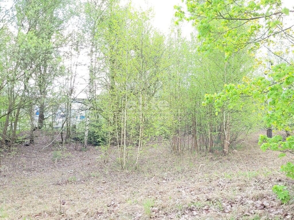 Recz, Zachodniopomorskie