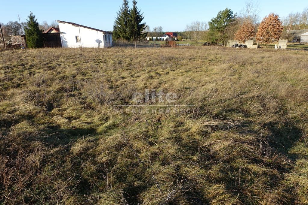 Tanowo, Zachodniopomorskie