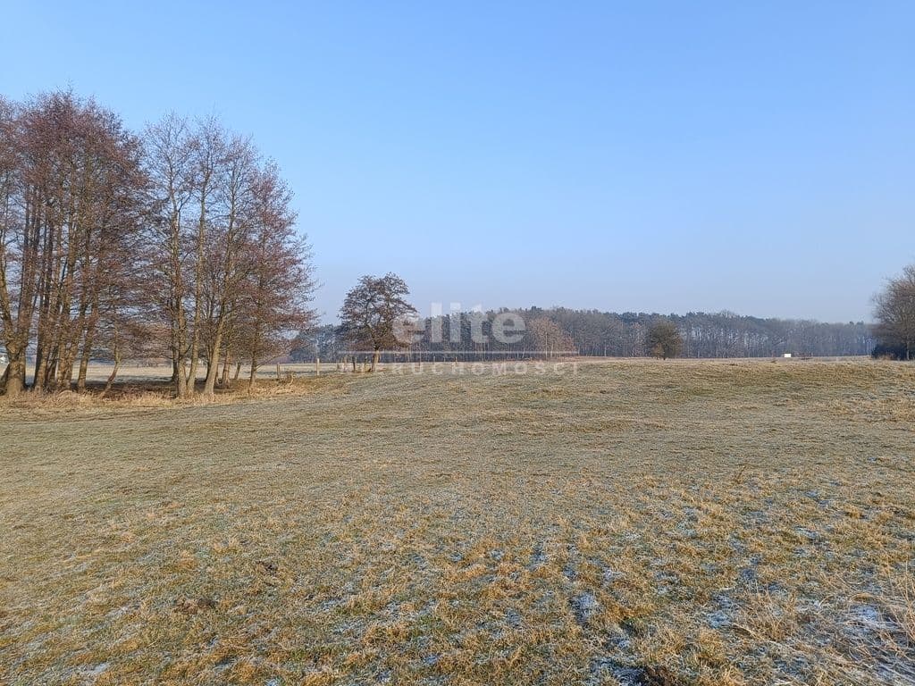 Tanowo, Zachodniopomorskie