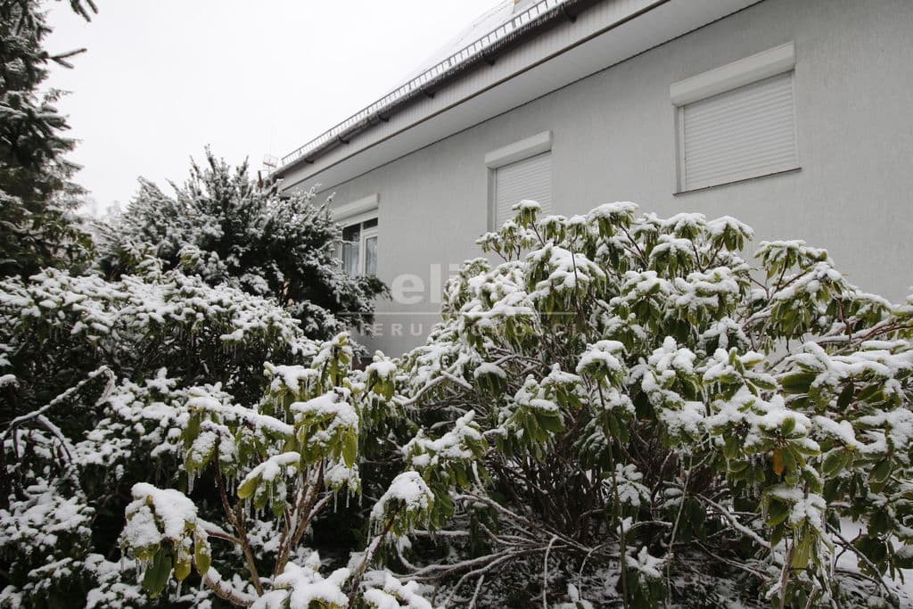 Zieleniewo, Zachodniopomorskie