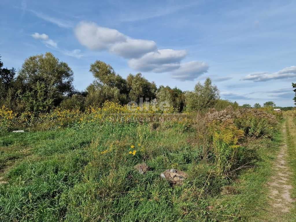 Starościn, Lubuskie