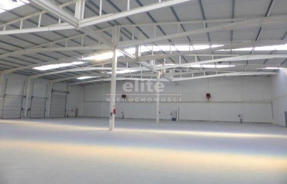 Prawobrzeże, Szczecin