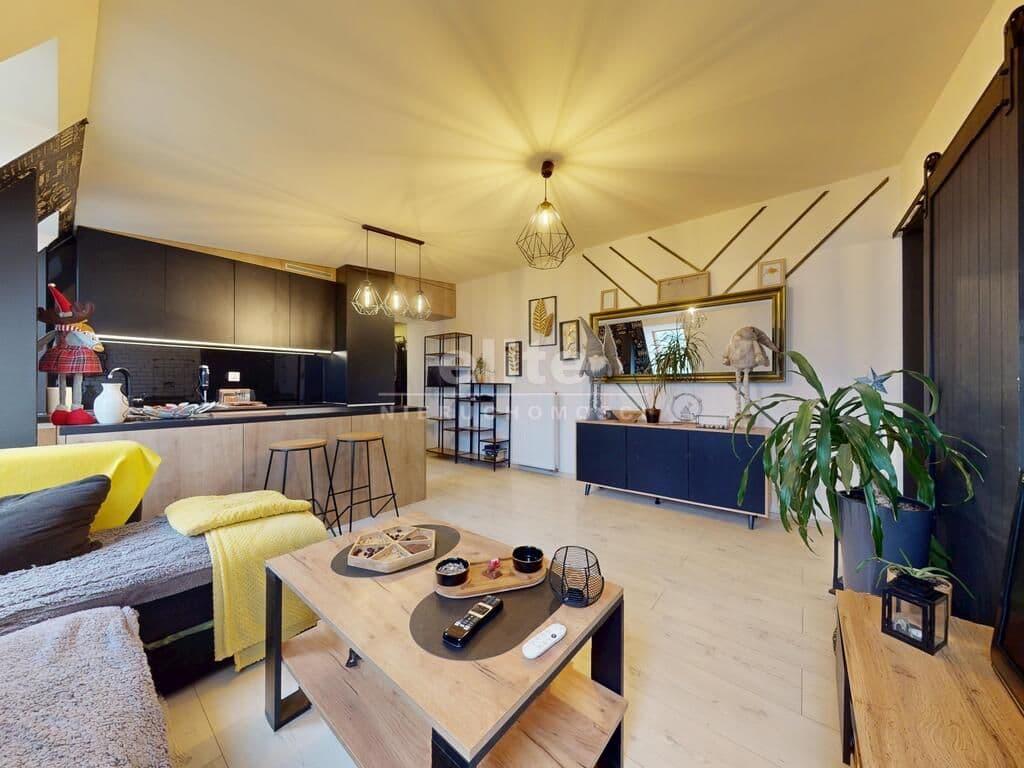 Jasne Błonia, Szczecin