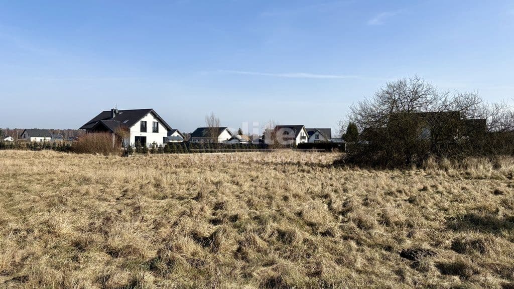 Niedźwiedź, Zachodniopomorskie