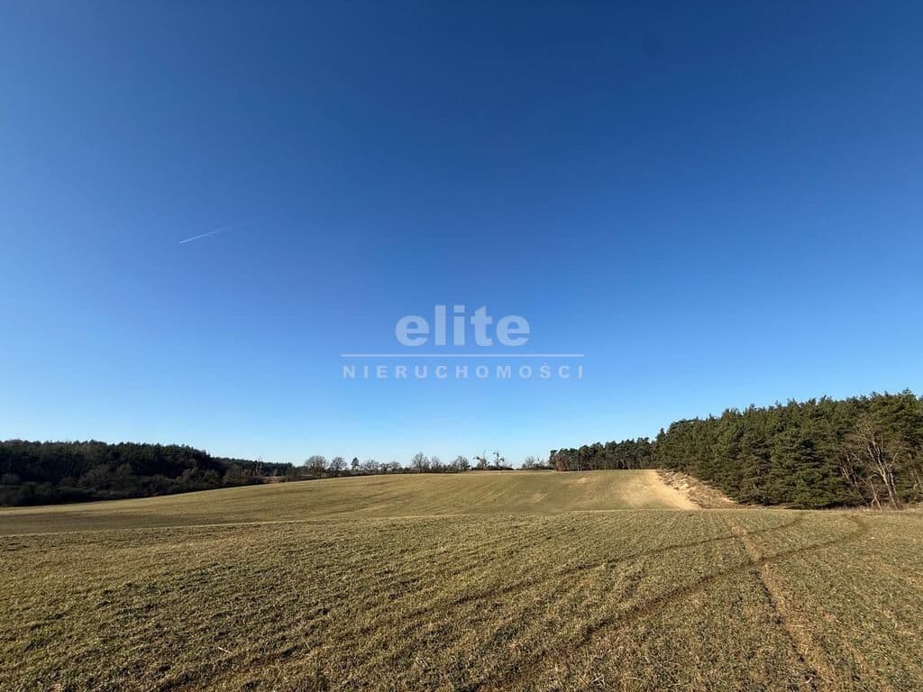 Buk, Zachodniopomorskie