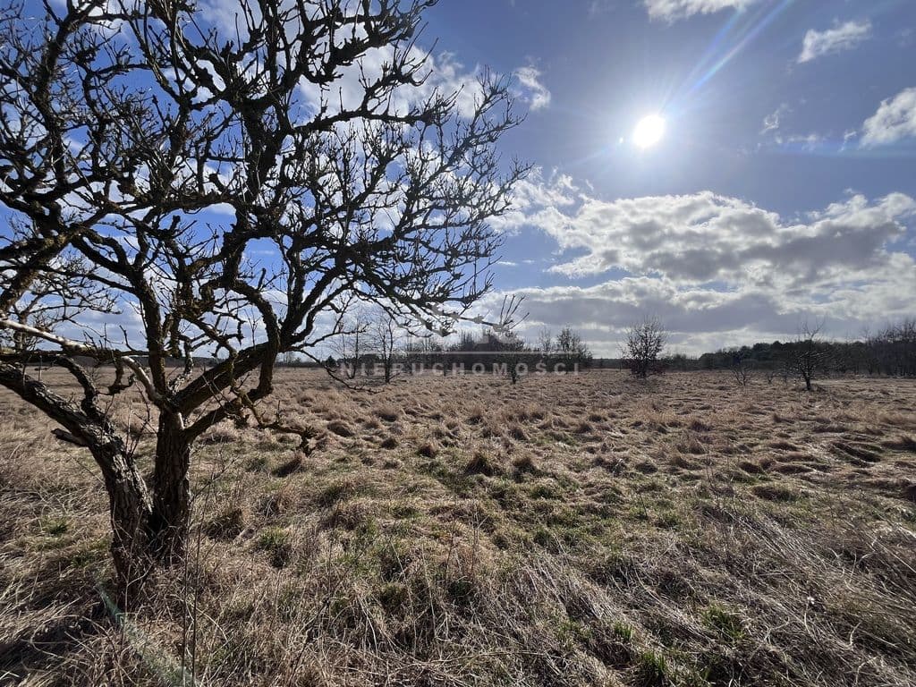 Łaniewo, Zachodniopomorskie