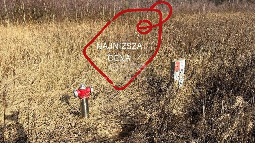 Żółwia Błoć, Zachodniopomorskie