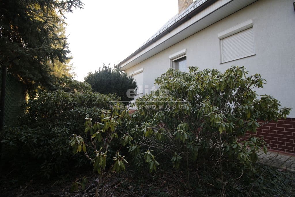 Zieleniewo, Zachodniopomorskie