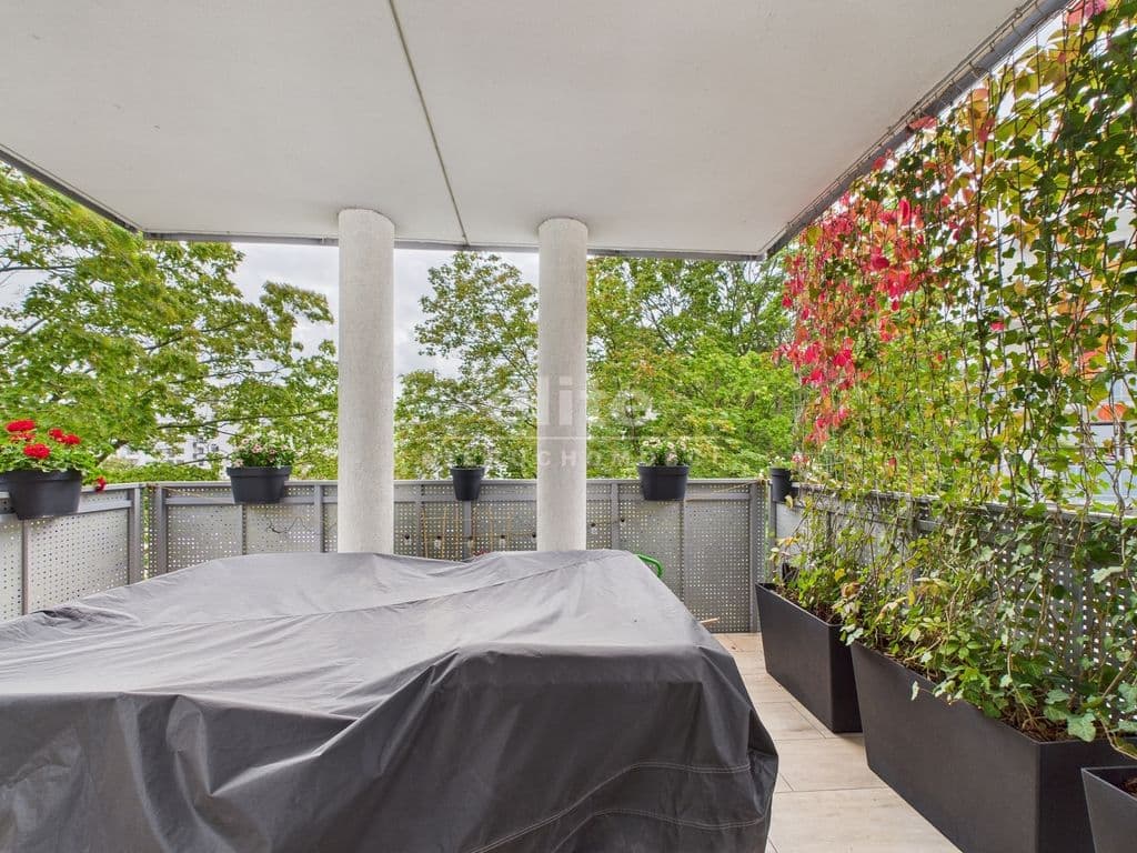 Śródmieście-Centrum, Szczecin