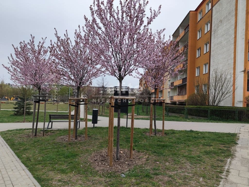 os. Zawadzkiego-Klonowica, Szczecin