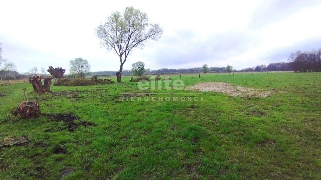 Dobropole Gryfińskie, Zachodniopomorskie